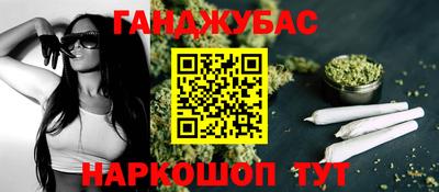 прущие грибы Кингисепп