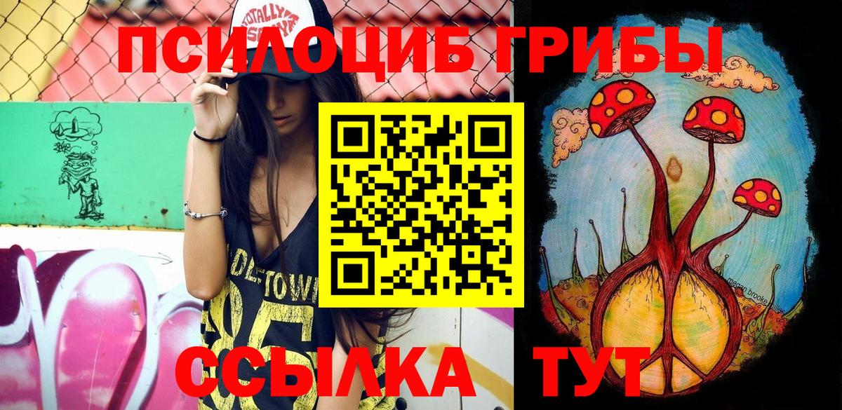 где найти наркотики  Галлюциногенные грибы Psilocybine cubensis  Кириши  Вход с VPN  Псилоцибиновые грибы прущие грибы 